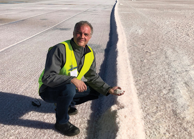 SaltWorks Ceo at salt pond